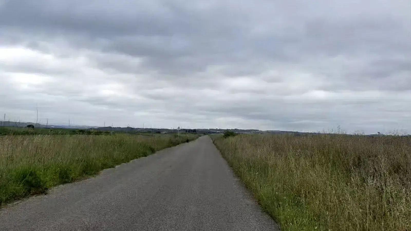 A straight cycle path crossing open marshland