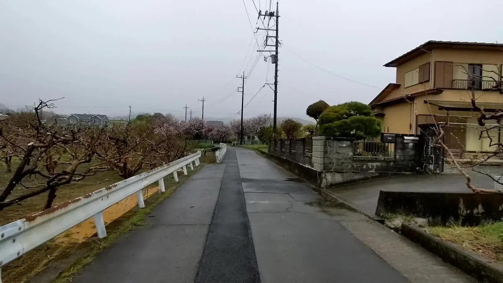 A wet road through a quiet rural neighbourhood