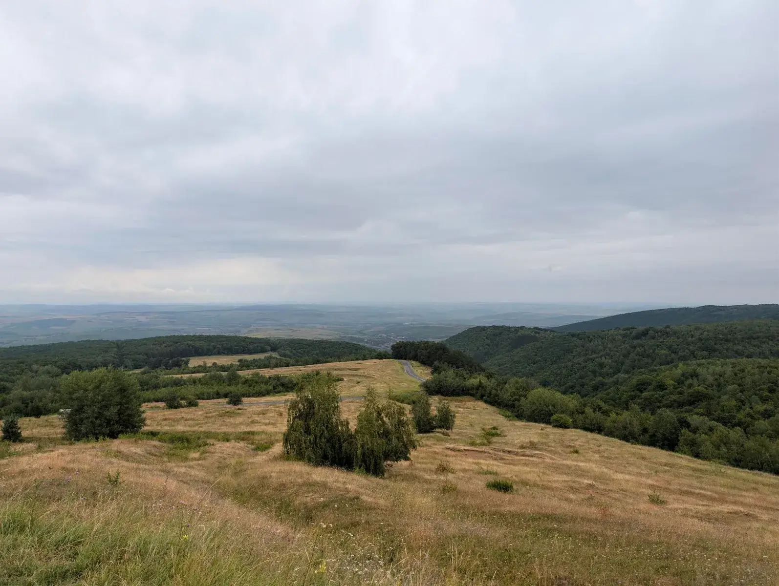 Layered green hills beneath an overcast sky