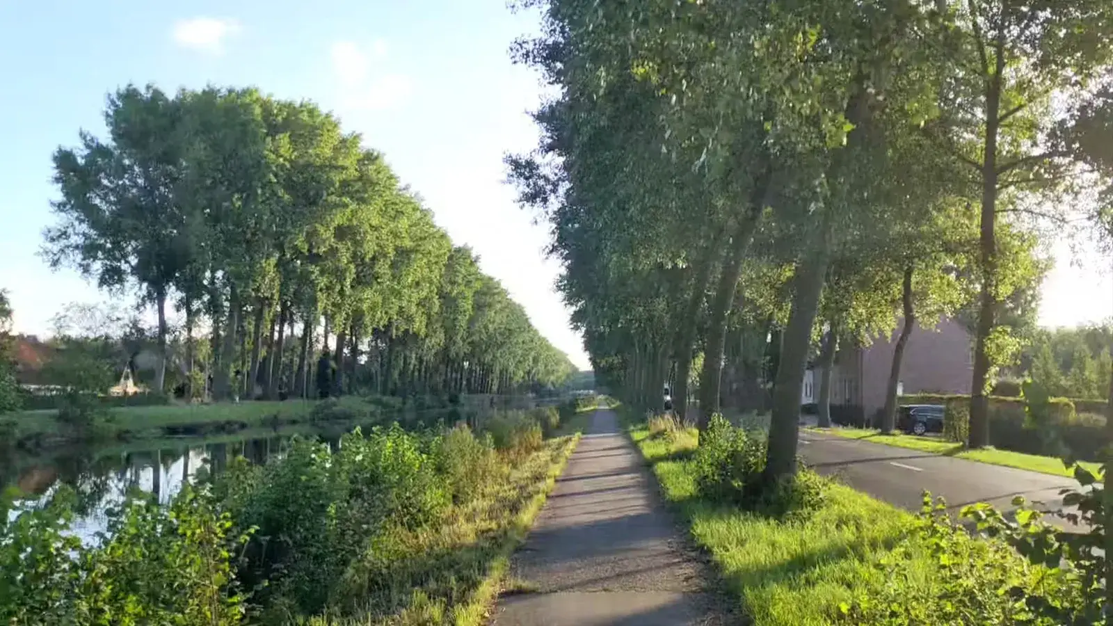A sunlit cycle path between a canal and rows of trees