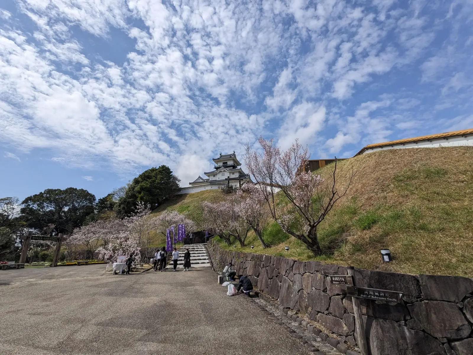 The same castle keep seen from another angle, framed by cherry blossom trees under a cloudy sky