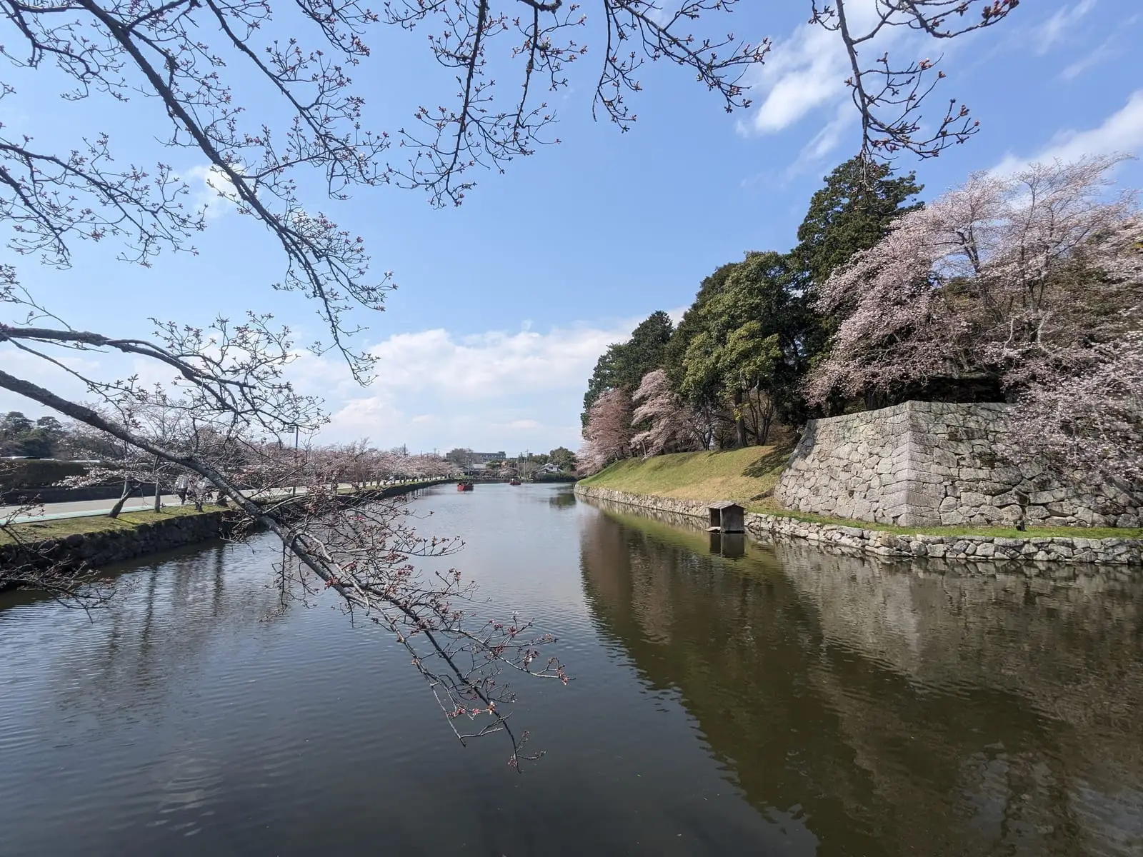 The castle keep reflected in a moat lined with cherry blossom trees