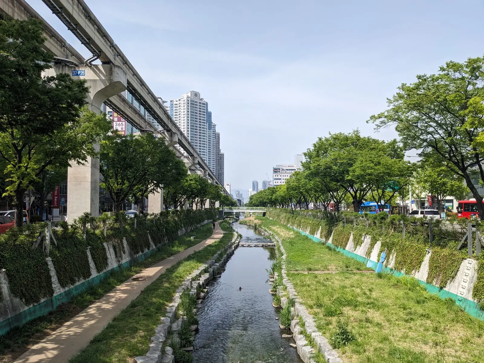 The Daegu monorail track running above a tree-lined riverside path