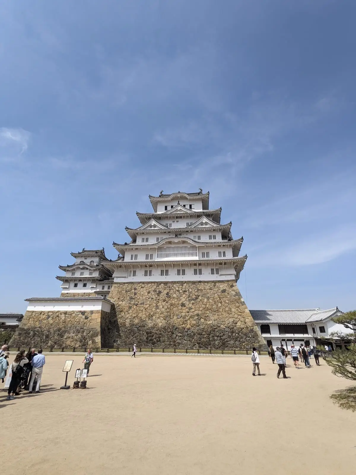 Himeji Castle's large white keep rising above cherry blossom trees under a blue sky