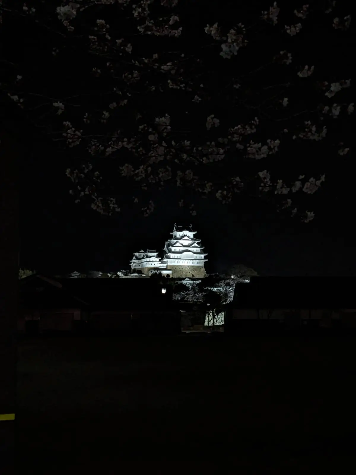A white castle keep illuminated against the night sky, with cherry blossom silhouettes in the foreground