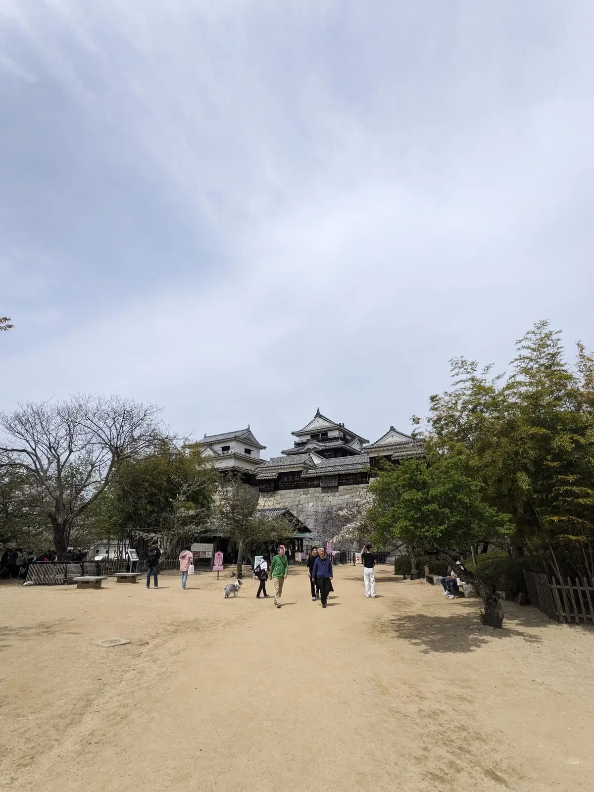 Matsuyama Castle’s white stone walls and turret rising above trees, with visitors walking near the base
