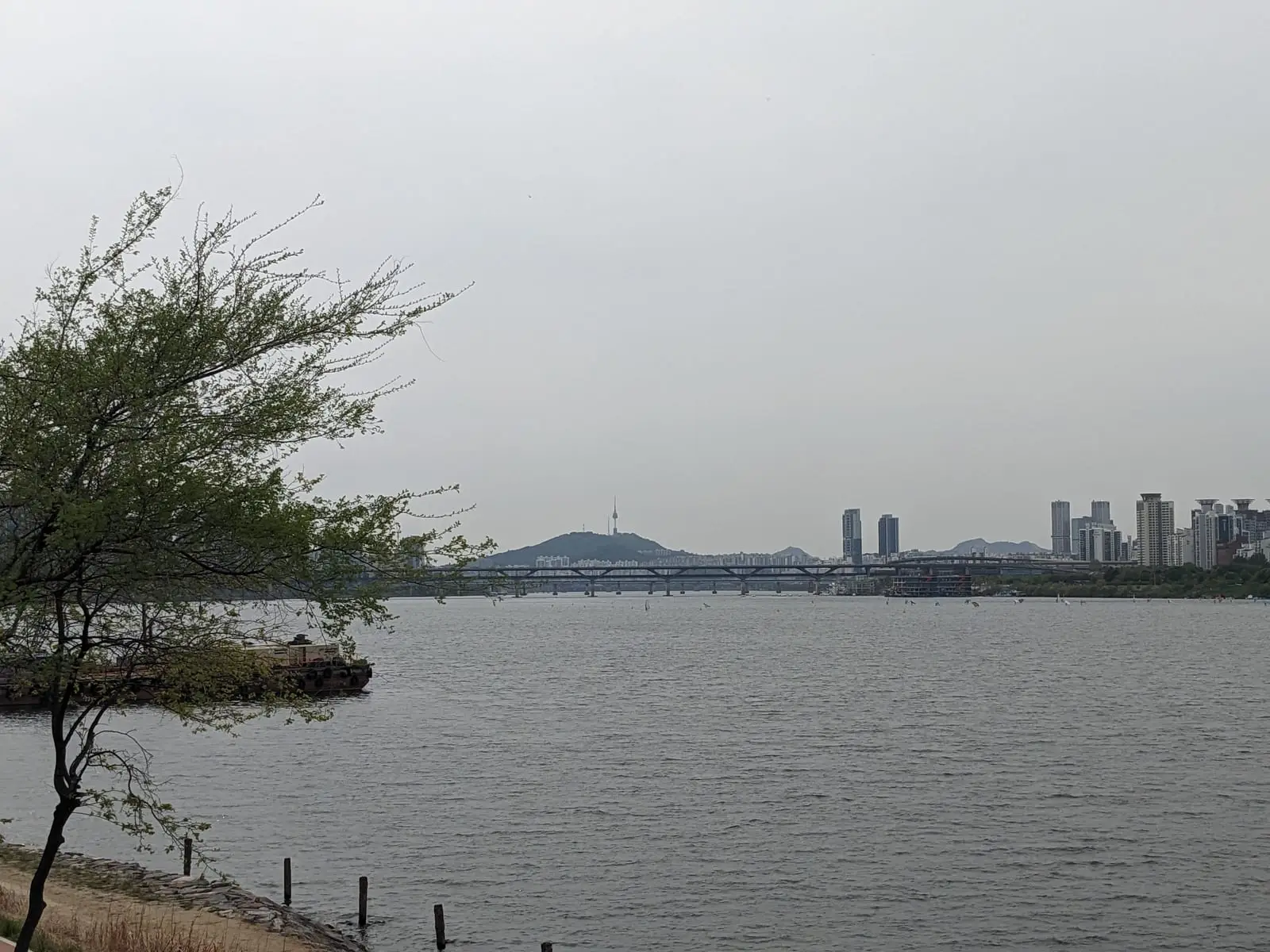 A wide river view with the Seoul skyline visible hazily on the horizon