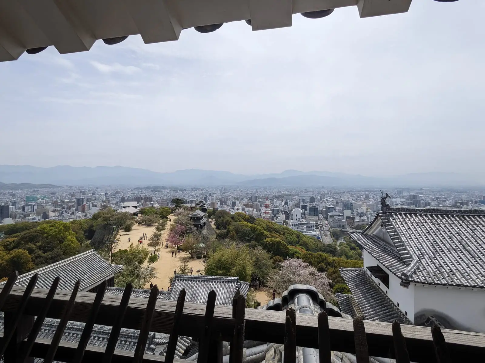 A view down a tree-lined approach path from Matsuyama Castle over the city below
