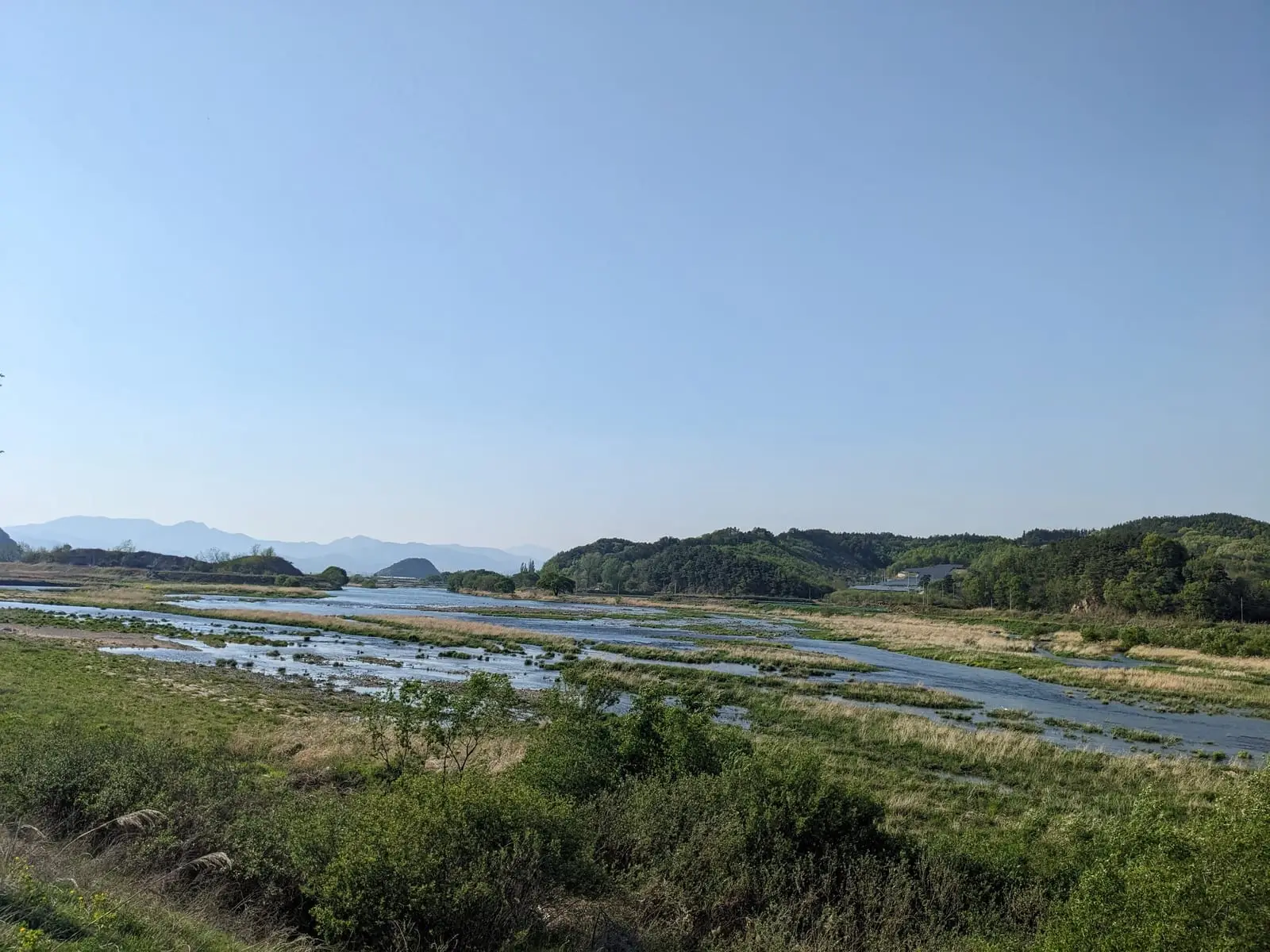 A wetland river view with reed beds and distant hazy hills