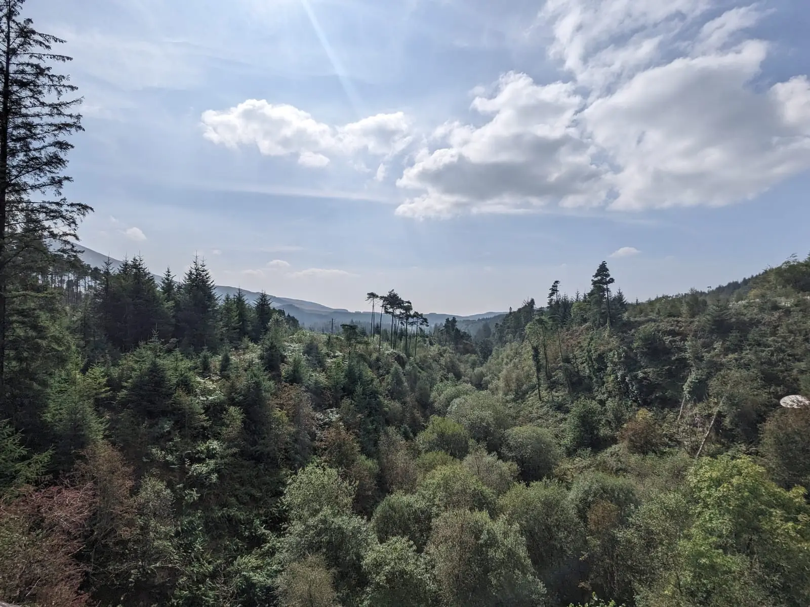 A wooded Scottish valley beneath a bright sky, with low hills in the distance